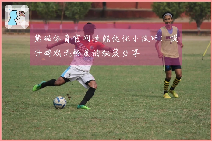 熊猫体育官网性能优化小技巧：提升游戏流畅度的秘笈分享