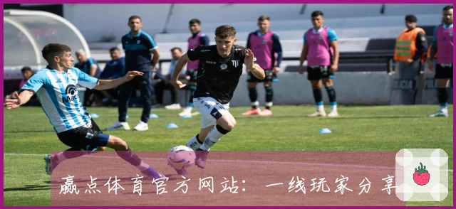 赢点体育官方网站：一线玩家分享游戏评测与实战心得