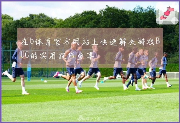 在b体育官方网站上快速解决游戏BUG的实用技巧分享