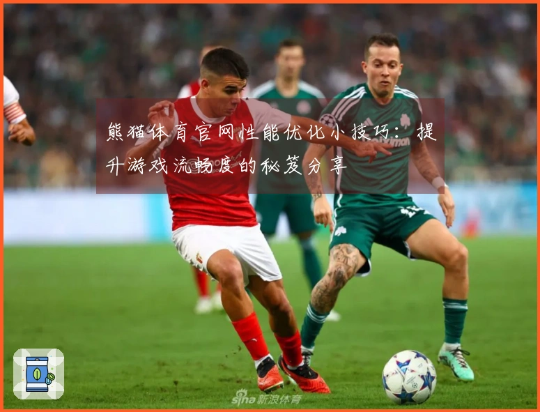 熊猫体育官网性能优化小技巧：提升游戏流畅度的秘笈分享