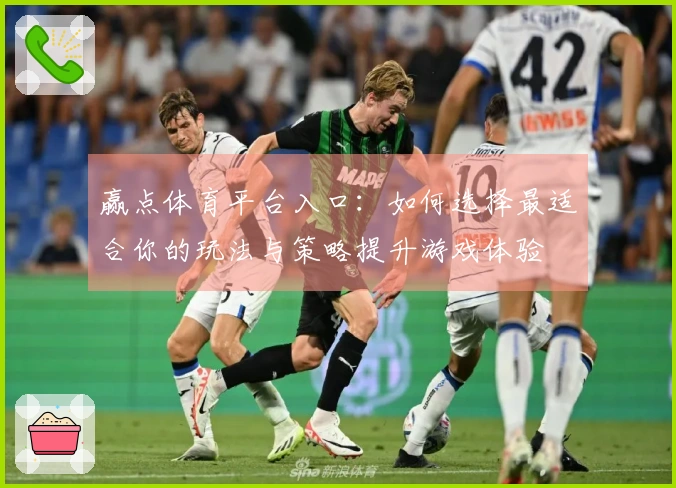 赢点体育平台入口：如何选择最适合你的玩法与策略提升游戏体验