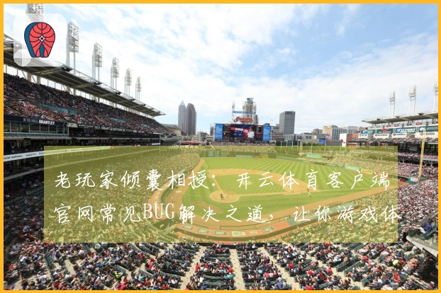 老玩家倾囊相授：开云体育客户端官网常见BUG解决之道，让你游戏体验飞升