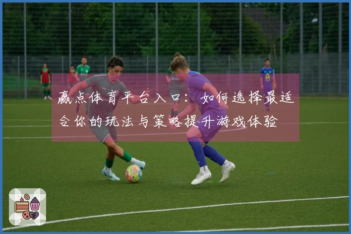 赢点体育平台入口：如何选择最适合你的玩法与策略提升游戏体验